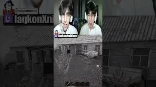 twitch/tg: laqkonXnikiom братья потеряли своего гномика навсегда #fyp #misery #угар #юмор