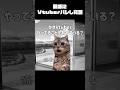 親戚にVtuberバレした話 #shorts #猫ミーム