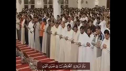 ما تيسر من سورة الأنعام لفضيله الشيخ وليد عرفه