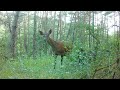 024- De belles vidéos sur ce passage