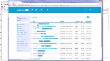 PulseCloud Video Walkthrough
