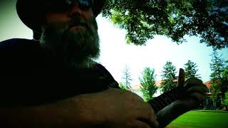 on the road again - baritone ukulele