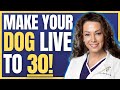 Worlds 1 veterinarian these are the best foods for dog longevity  dr karen becker