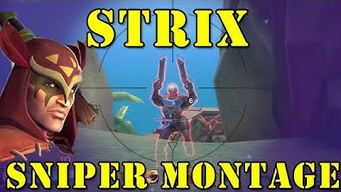 PALADINS: Strix Sniper montage