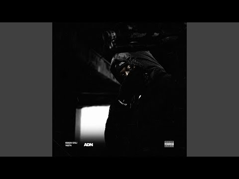 Kali - Vista
