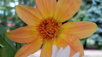 القرأن الكريم ❤️ من روائع القرأن . , سورة الفاتحة , النصر , المسد , الإخلاص , الفلق , الناس ❤️