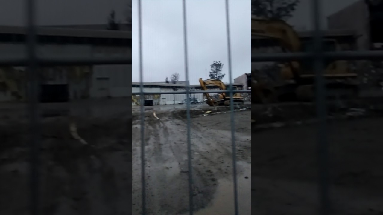 Dead rolling Acer's mall