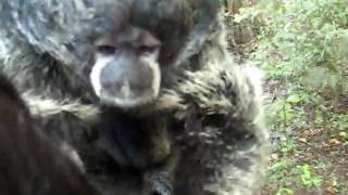 MVI_5032.AVI