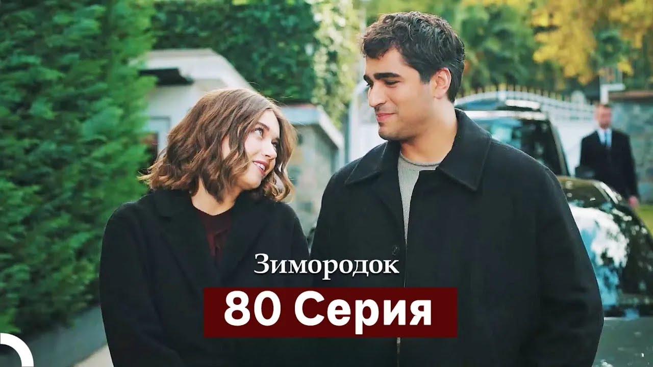 Зимородок 80 Cерия (Русский дубляж)