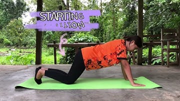 Instructional Video (Dead Bug Series,Bird Dog Series, Planking and Squats) BPED 1B