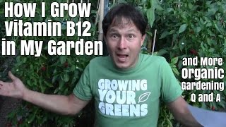How I Grow Vitamin B12 in My Garden & More Organic Gardening Q&A