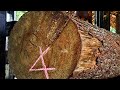 Incroyable les techniques de sciage de bois de pin dur les plus dangereuses  la scierie