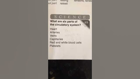 Circulatory system CC