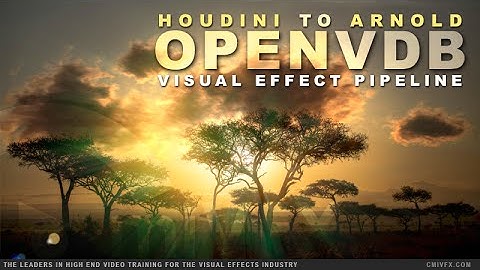 Houdini to Arnold OpenVDB Workflow by cmiVFX
