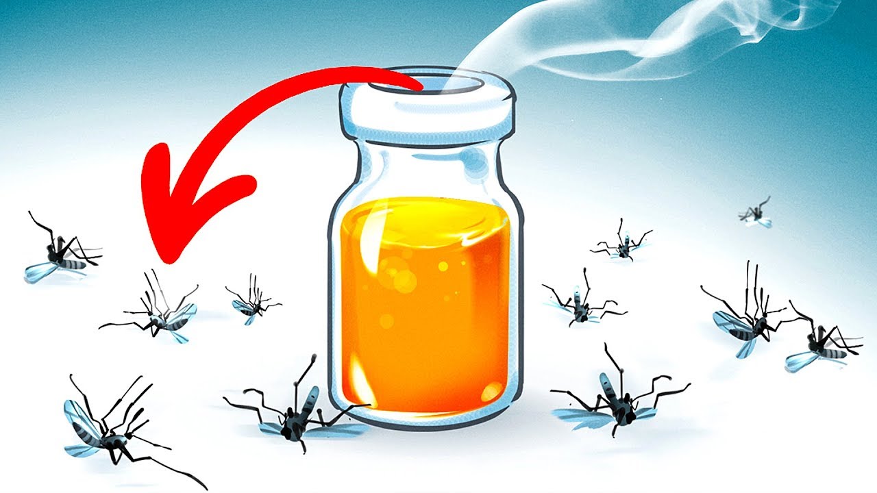 15 Maneras naturales de deshacerse de los mosquitos en el patio - YouTube
