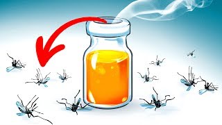 15 Maneras naturales de deshacerse de los mosquitos en el patio