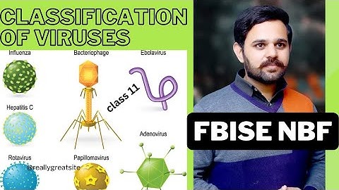 Classification of Viruses | Based on Structure | Bases on Capsid | FBISE | NBF | Class 11