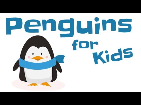 Penguins for Kids - YouTube