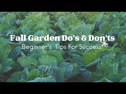 Video: Ghid pentru începători pentru grădinărit de toamnă – Sfaturi și proiecte pentru grădina de toamnă