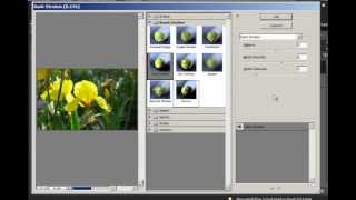 Celebrity Reset Those Sliders in Photoshop Elements Net Worth