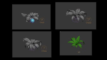 TYflow plant transform