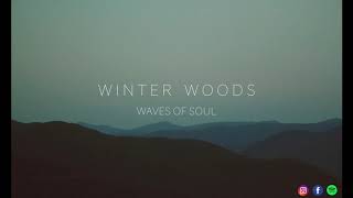Winter Woods - Waves of Soul chords