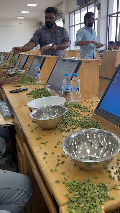 Cardamom Auction - #elaichi #kerala #youtube #virel #shorts #vlog #trending #youtuber #shortsfyp