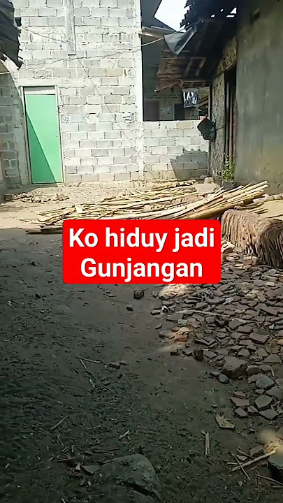 ko hiduy jadi guncangan