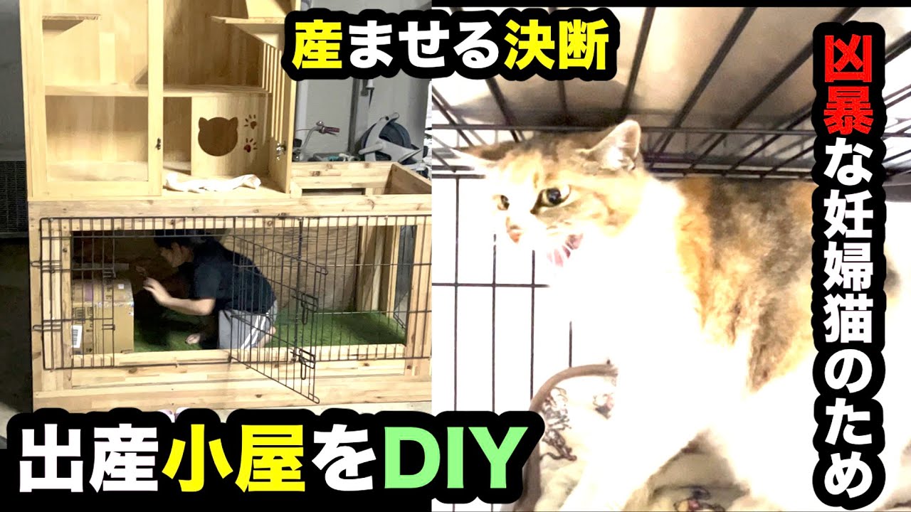 凶暴な妊婦猫ちゃんの為出産小屋をDIYしてみた