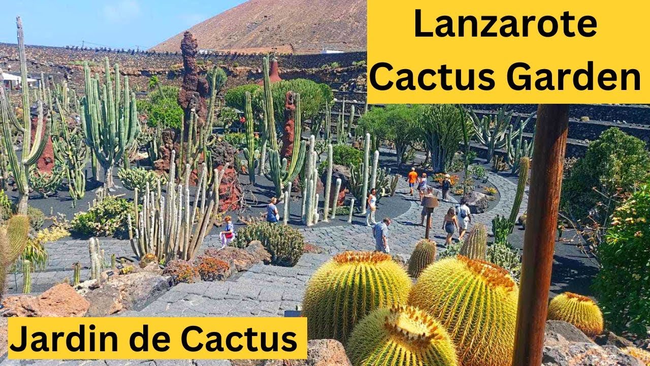 Lanzarote Cactus Garden | The Jardin de Cactus #cacti #cactus