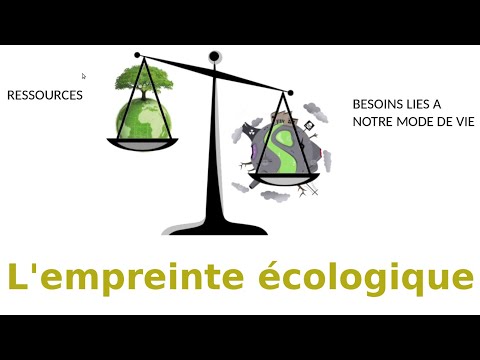 Vidéo: Combien de Terres faudrait-il pour supporter votre empreinte écologique ?