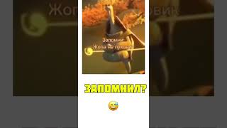 Мудрость на день #shorts #смешноевидео #хорошегодня