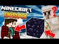 GAVAU DEIMANTINĮ KIRTIKLĮ?! | Minecraft: Sky Block #14