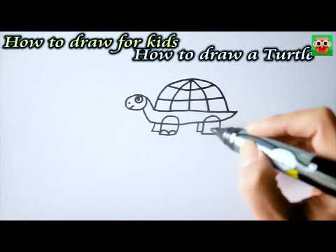 How to draw a turtle easy step by step for kids, HƯỚNG DẪN VẼ CON RÙA