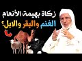ما هو نصاب زكاة بهيمة الانعام الغنم والبقر والابل شرح واضح ومبسط الدكتور لحسن اد سعيد