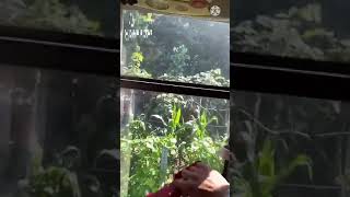 How To Break Bus Glass In Emergency Time
