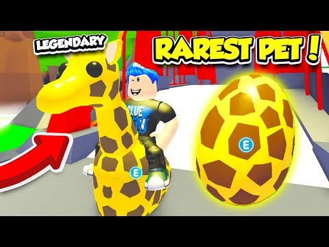I Bought All Of The New Adopt Me Pets In Roblox New Roblox Adopt - pets update is here roblox adopt me new nursery new map hatching eggs its sugarcoffee