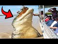 10 Abnormally Large Animals THAT ACTUALLY EXIST!