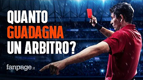 Che cos'è il TMO rugby?
