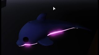 How a neon Dolphin looks like adopt me ocean egg update