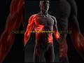Inflammation Is Not Always harmful
