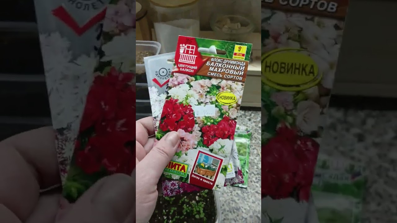 6 марта 2026 г.