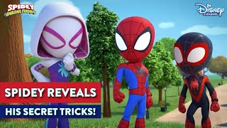 You Don't Wanna Miss Spidey's Lessons! | Spidey And His Amazing Friends | @disneyindia