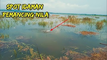 MANCING NILA DI WADUK MALAHAYU