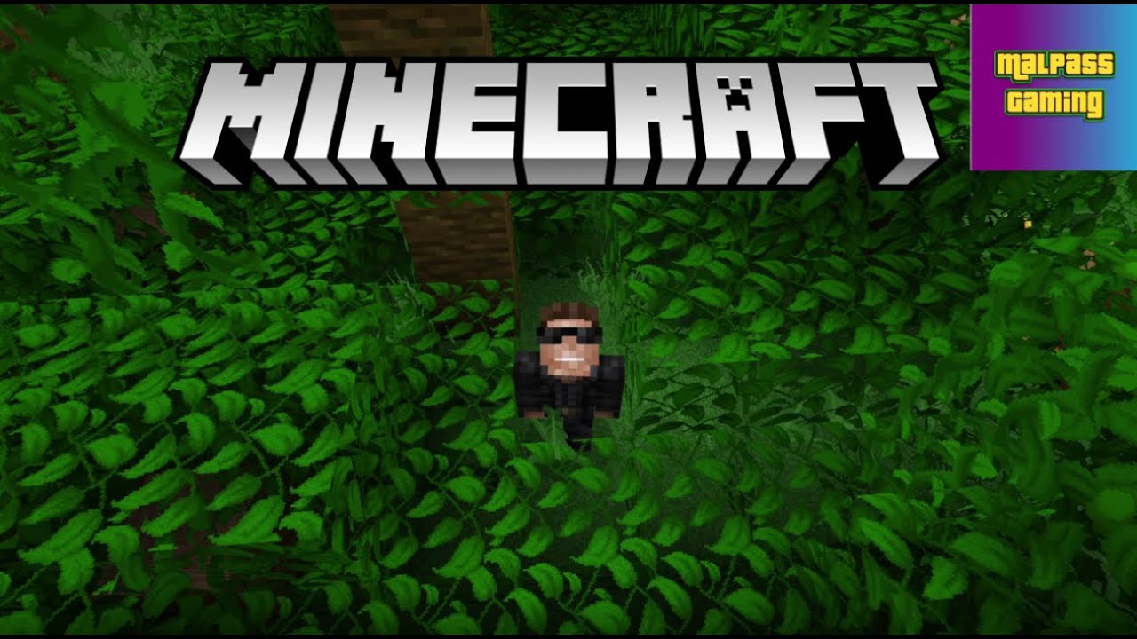 Minecraft Let's Play Ep 1 : A Brand New Start (1.17)