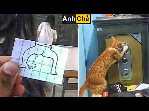 Ảnh Chế  Hài Hước (P 5) Tranh vẽ bậy, Mèo siêu trộm!