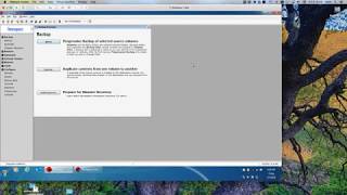 How to Protect Data for Remote Employees During COVID-19