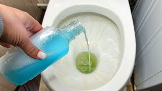 After that, your toilet will be perfectly clean! The result is amazing!
