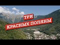 Три Красных Поляны. Боги Логистики