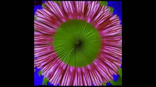 Stable Diffusion Animation Test